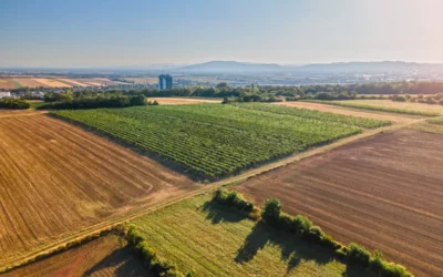 5 errores críticos al tramitar una permuta rústica (y cómo evitarlos)
